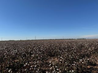 740 Sun Road, Plainview, TX 79072