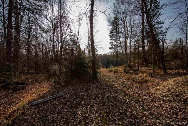 379 Sheltrow Road, Crystal Falls, MI 49920
