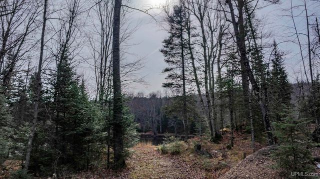 379 Sheltrow Road, Crystal Falls, MI 49920