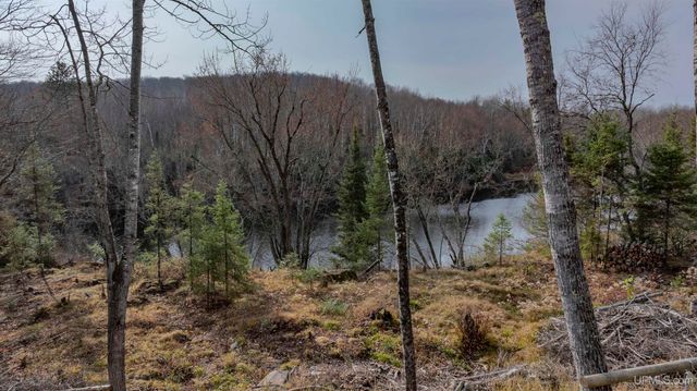 379 Sheltrow Road, Crystal Falls, MI 49920