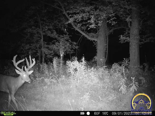 9335 NW 66th St, Silver Lake, KS 66539