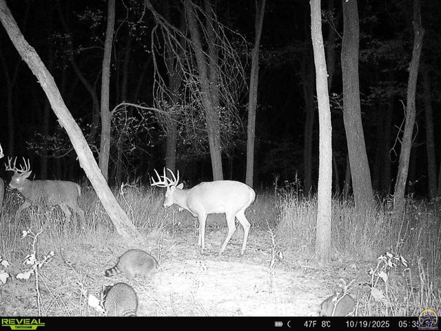 9335 NW 66th St, Silver Lake, KS 66539