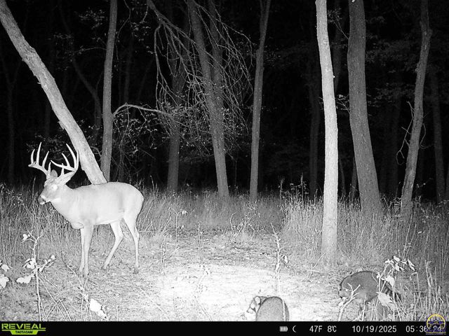 9335 NW 66th St, Silver Lake, KS 66539