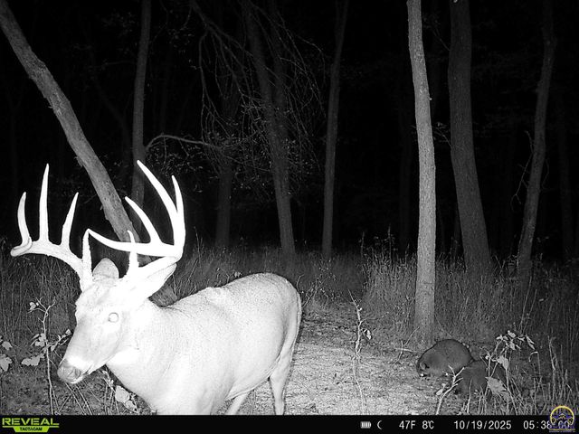 9335 NW 66th St, Silver Lake, KS 66539