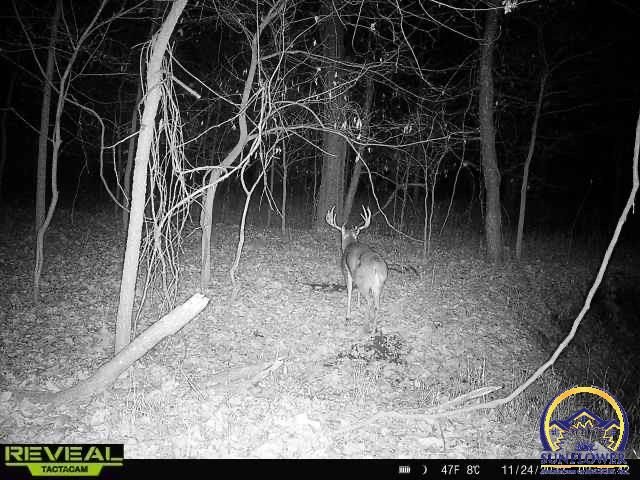 9335 NW 66th St, Silver Lake, KS 66539