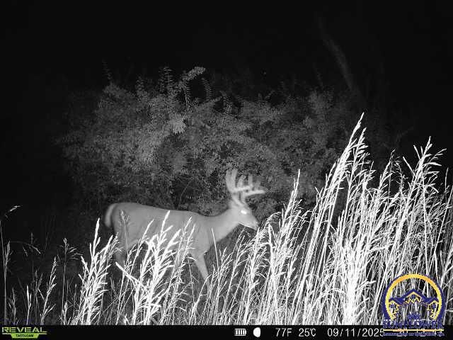 9335 NW 66th St, Silver Lake, KS 66539