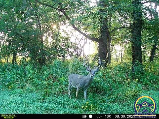 9335 NW 66th St, Silver Lake, KS 66539