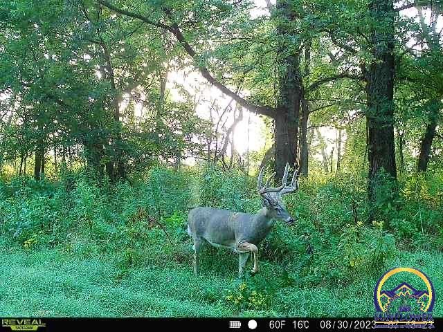 9335 NW 66th St, Silver Lake, KS 66539