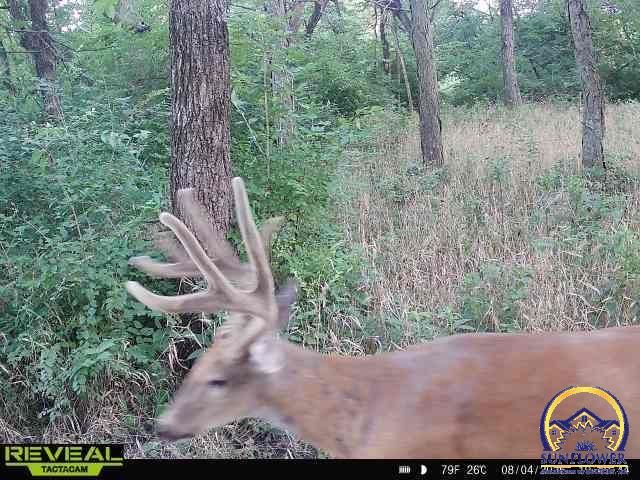 9335 NW 66th St, Silver Lake, KS 66539