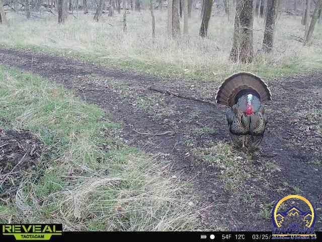 9335 NW 66th St, Silver Lake, KS 66539