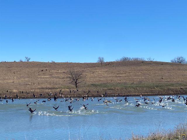 9335 NW 66th St, Silver Lake, KS 66539