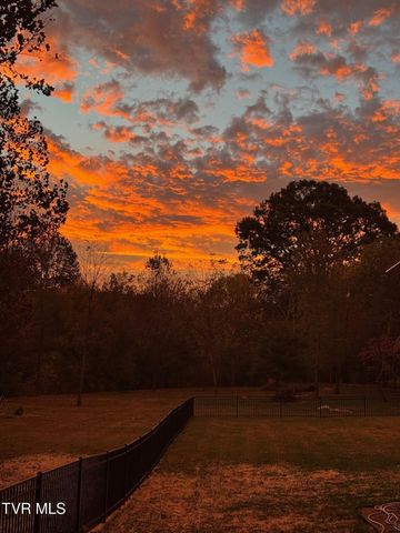 375 Middle Creek Road, Afton, TN 37616