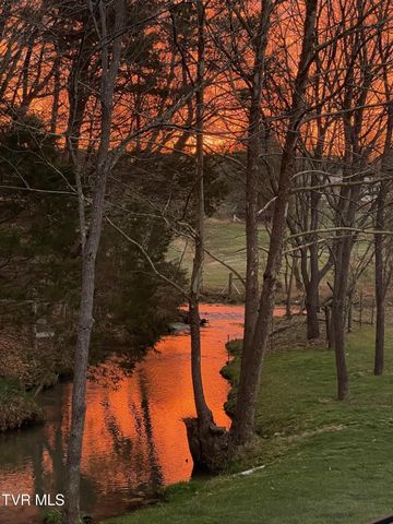 375 Middle Creek Road, Afton, TN 37616