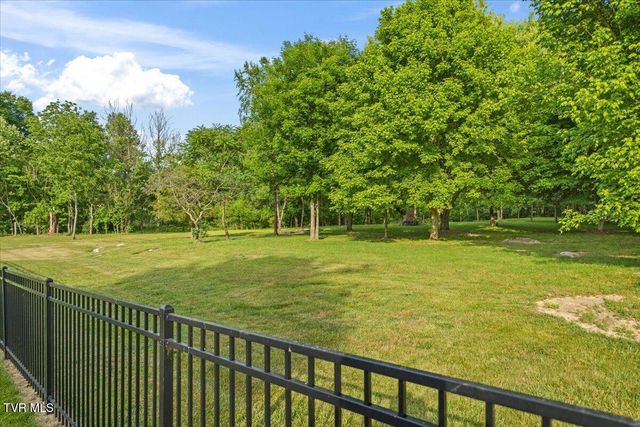 375 Middle Creek Road, Afton, TN 37616