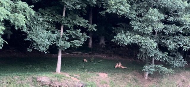 375 Middle Creek Road, Afton, TN 37616