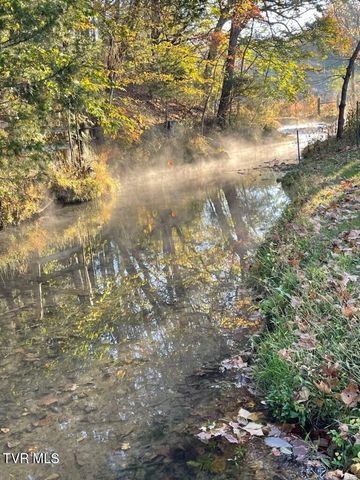 375 Middle Creek Road, Afton, TN 37616