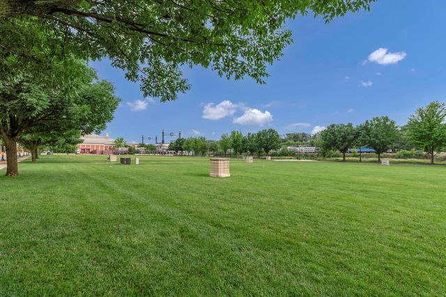161 S Grove Avenue, Elgin, IL 60120