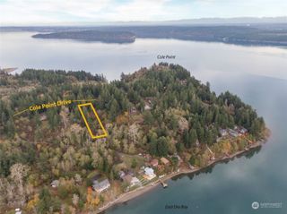 12406 Cole Point Drive, Anderson Island, WA 98303