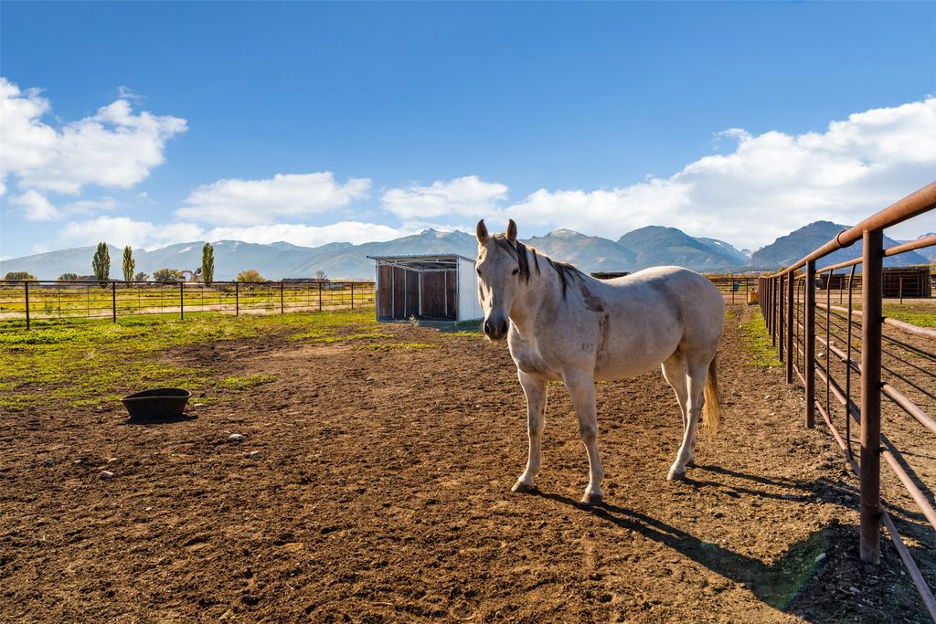 224 Rusty Spur Way, Corvallis, MT 59828 photo 40
