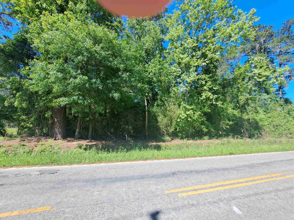 TBD Lot A Bucksport Rd., Conway, SC 29527 — photo 3