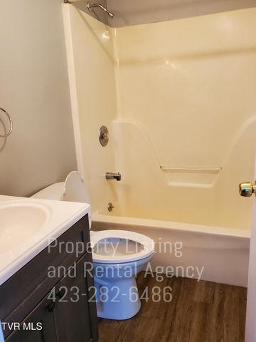 510 Lamont Street, Johnson City, TN 37604