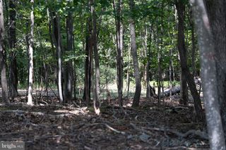 LOT 54 TEARDROP TRL, Gerrardstown, WV 25420