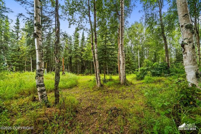 6951 W Captain Hook Drive, Wasilla, AK 99623