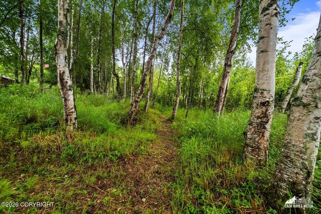 6951 W Captain Hook Drive, Wasilla, AK 99623