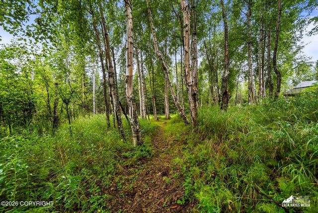 6951 W Captain Hook Drive, Wasilla, AK 99623