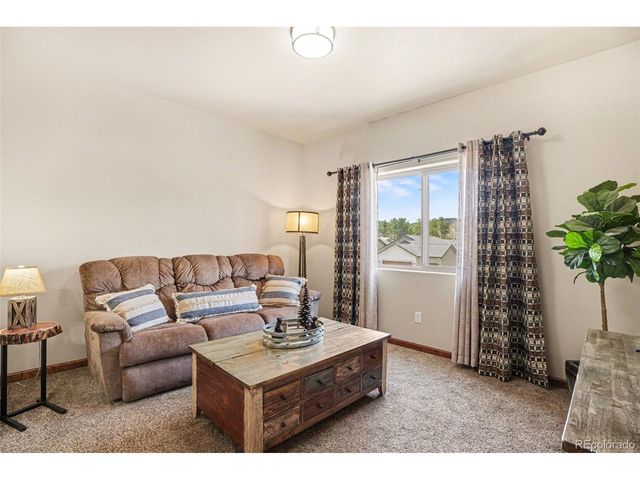 1149 Ptarmigan Dr, Woodland Park, CO 80863