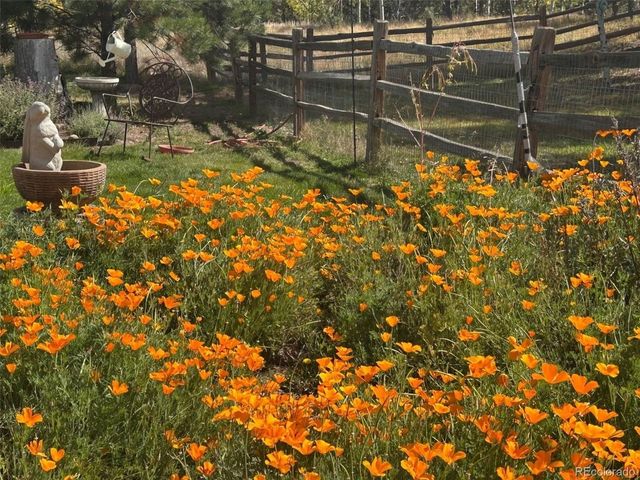 1149 Ptarmigan Dr, Woodland Park, CO 80863