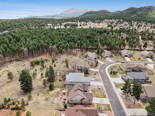 1149 Ptarmigan Dr, Woodland Park, CO 80863
