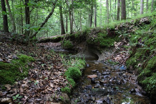 1232 Rivermead Lane, Wake Forest, NC 27587