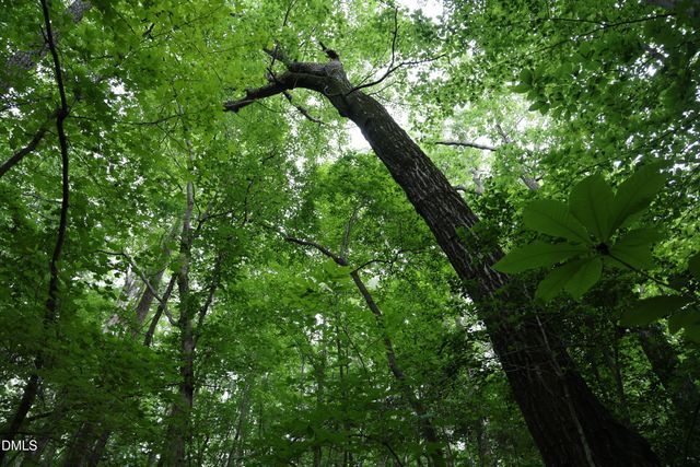 1232 Rivermead Lane, Wake Forest, NC 27587