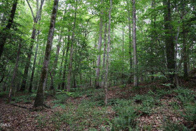 1232 Rivermead Lane, Wake Forest, NC 27587