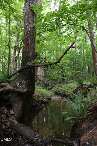 1232 Rivermead Lane, Wake Forest, NC 27587