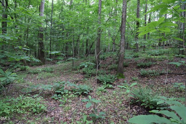 1232 Rivermead Lane, Wake Forest, NC 27587