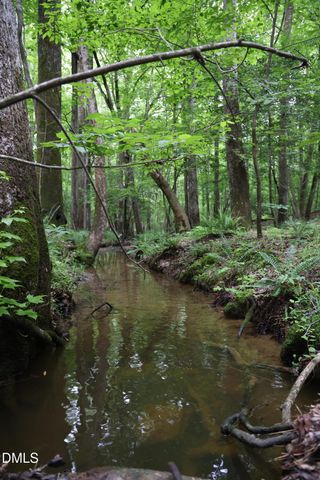 1232 Rivermead Lane, Wake Forest, NC 27587