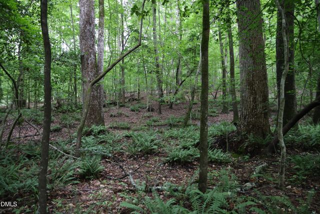 1232 Rivermead Lane, Wake Forest, NC 27587