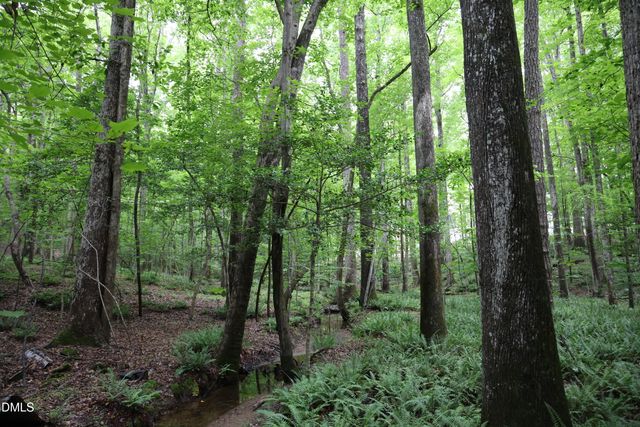 1232 Rivermead Lane, Wake Forest, NC 27587