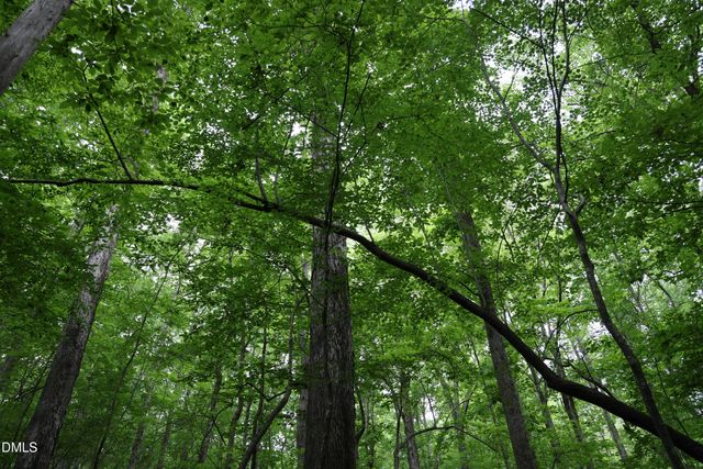 1232 Rivermead Lane, Wake Forest, NC 27587