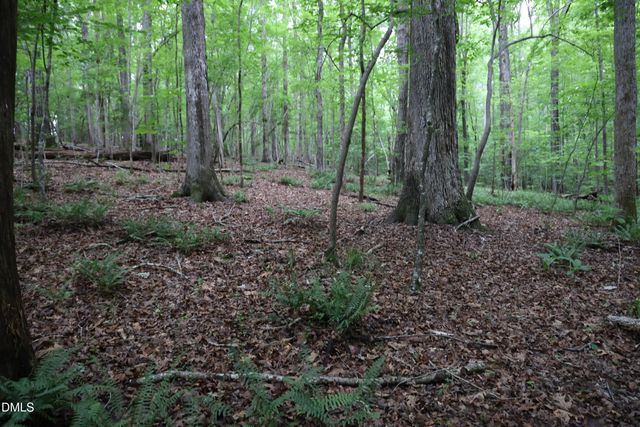 1232 Rivermead Lane, Wake Forest, NC 27587