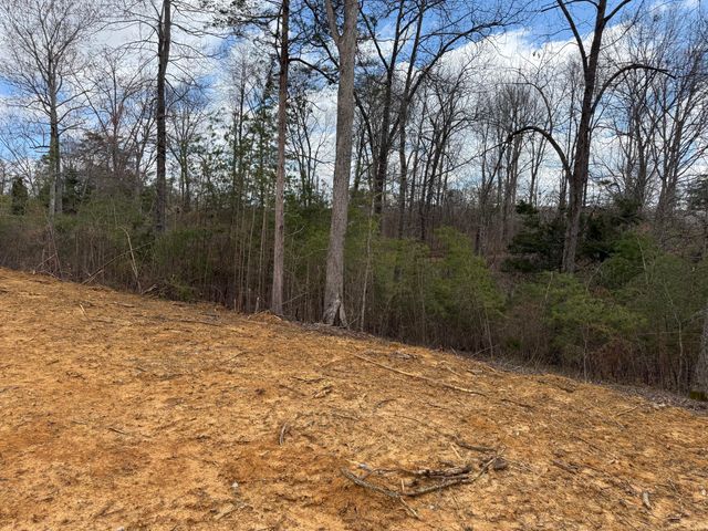 Lot 10 Phase 2 Stearns Hollow Road, Monticello, KY 42633