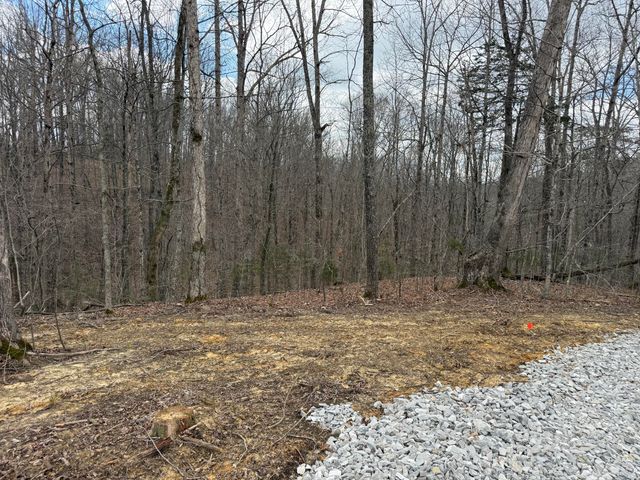 Lot 10 Phase 2 Stearns Hollow Road, Monticello, KY 42633