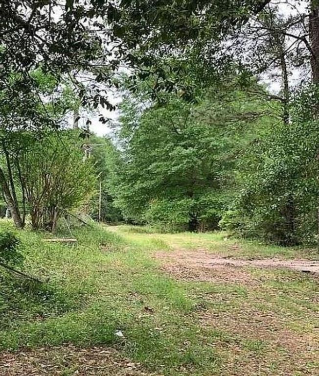 73 Dogwood Lane, Houston, TX 77365