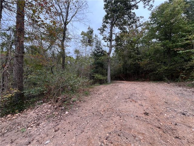12502 Hamilton Drive, Gentry, AR 72734