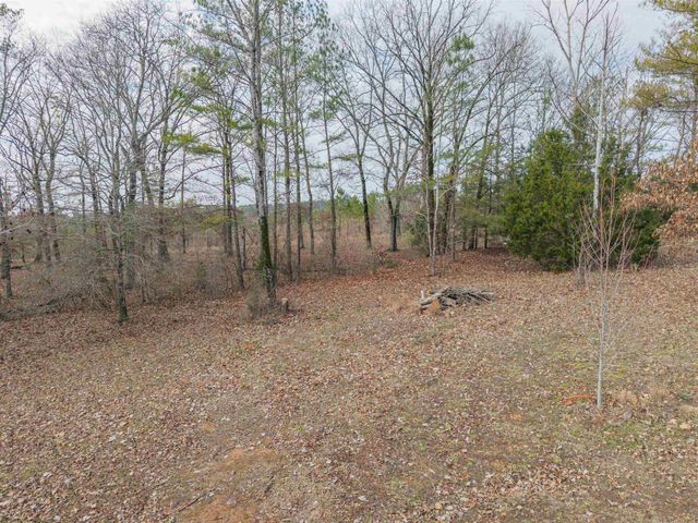 59 TY LN, Michie, TN 38357