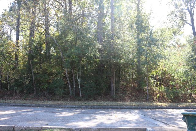 TBD Lake Oaks Boulevard, Coldspring, TX 77331