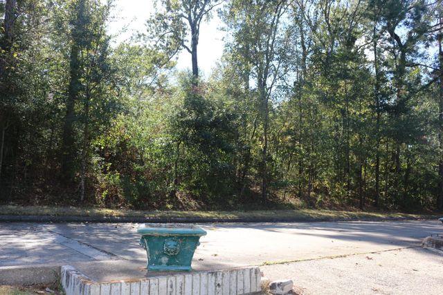 TBD Lake Oaks Boulevard, Coldspring, TX 77331