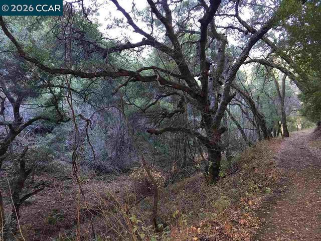 Lark Ln, Alamo, CA 94507